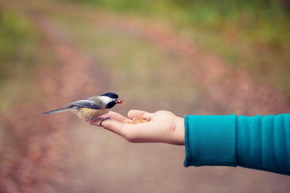 Alles in Zijn hand